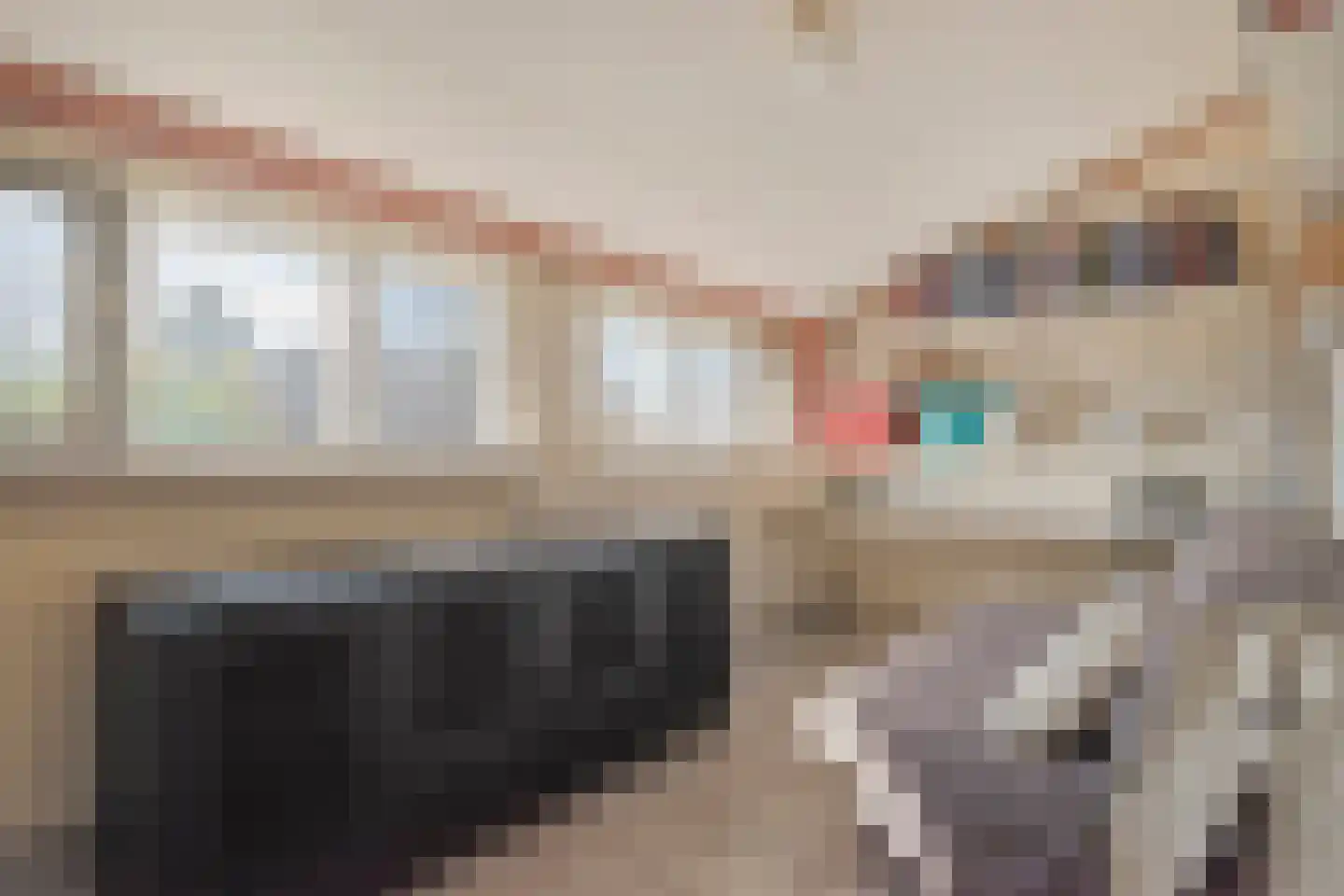 Brielsedreef 8 A Prinsenbeek thumbnail 21