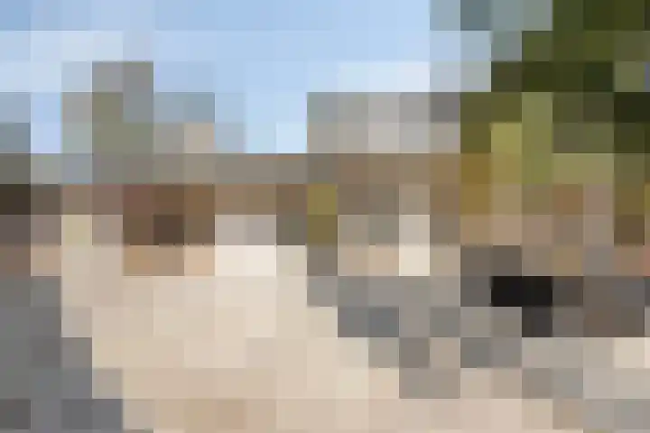 Brielsedreef 8 A Prinsenbeek thumbnail 27