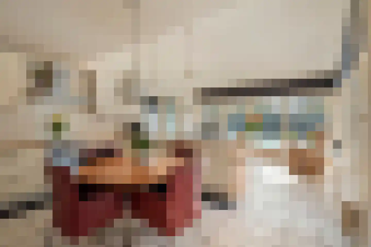 Brielsedreef 8 A Prinsenbeek thumbnail 4