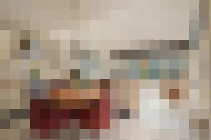 Brielsedreef 8 A Prinsenbeek thumbnail 4