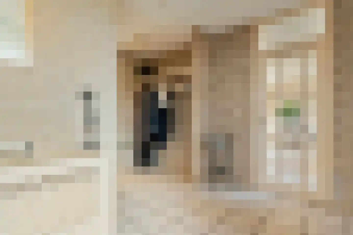 Brielsedreef 8 A Prinsenbeek thumbnail 6