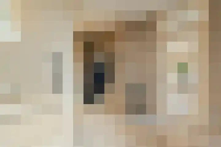 Brielsedreef 8 A Prinsenbeek thumbnail 6