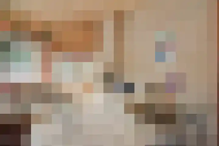 Brielsedreef 8 A Prinsenbeek thumbnail 8