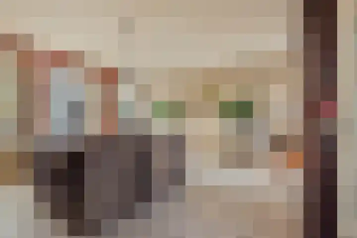 Brielsedreef 8 A Prinsenbeek thumbnail 9