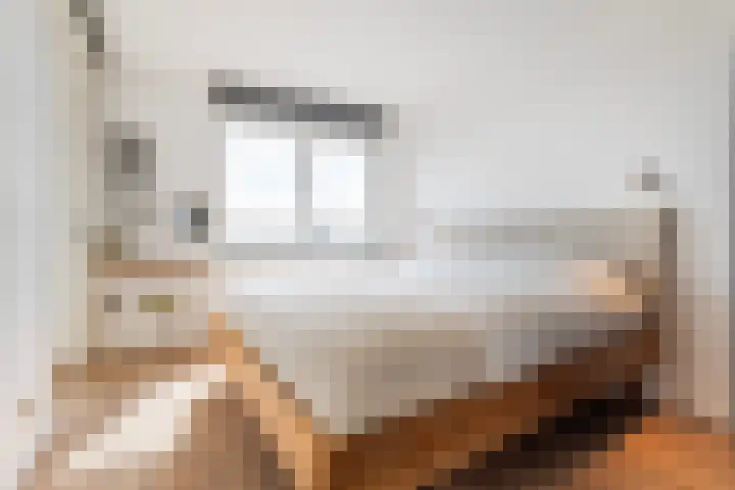 Brielselaan 10 D Rotterdam thumbnail 12