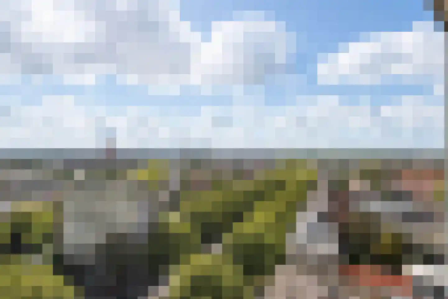 Brielselaan 10 D Rotterdam thumbnail 18