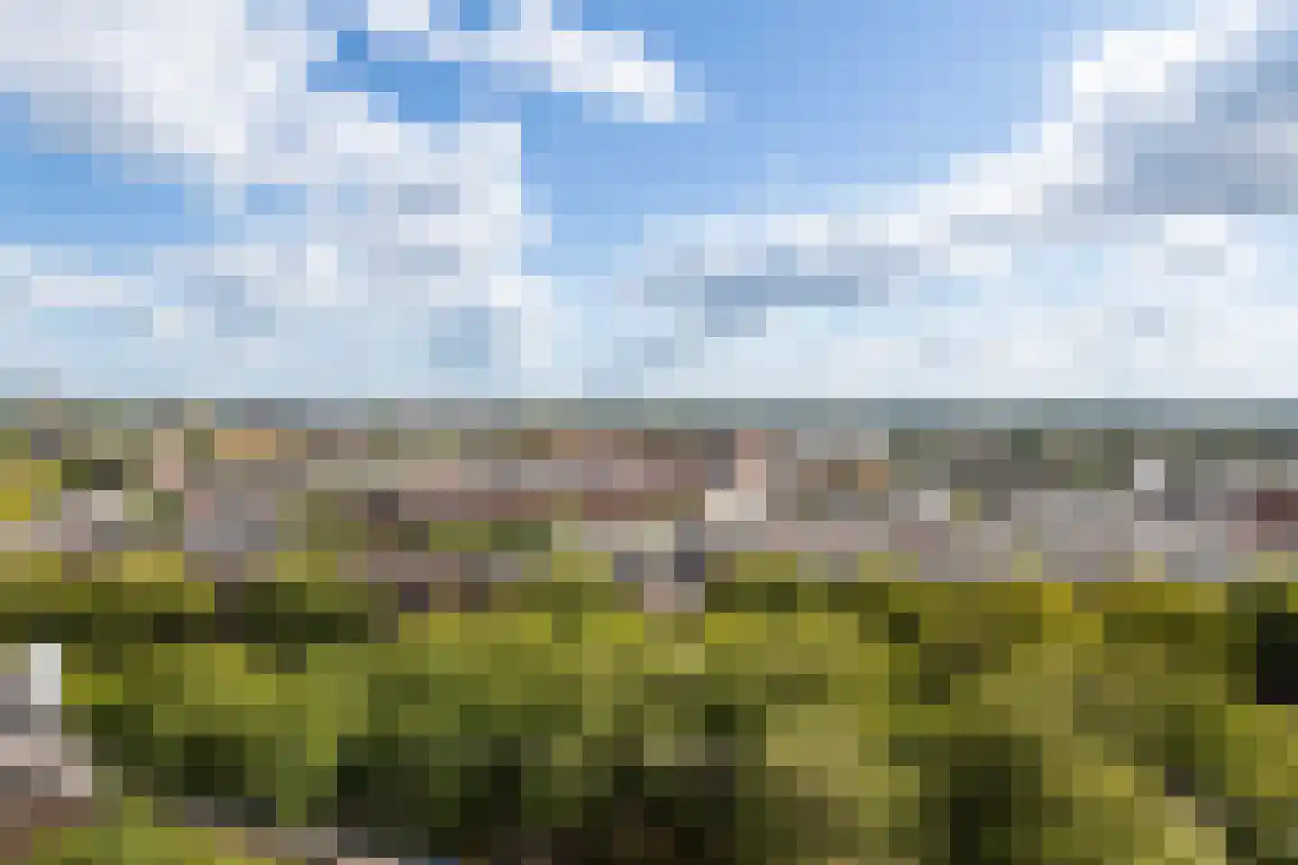 Brielselaan 10 D Rotterdam thumbnail 19