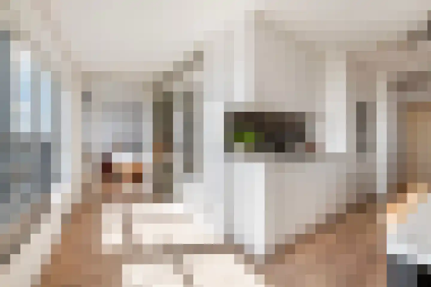 Brielselaan 10 D Rotterdam thumbnail 8