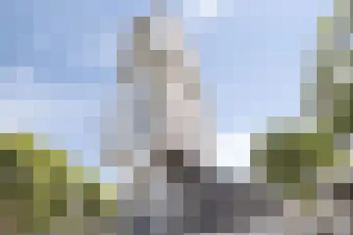 Brielselaan 12 C in Rotterdam