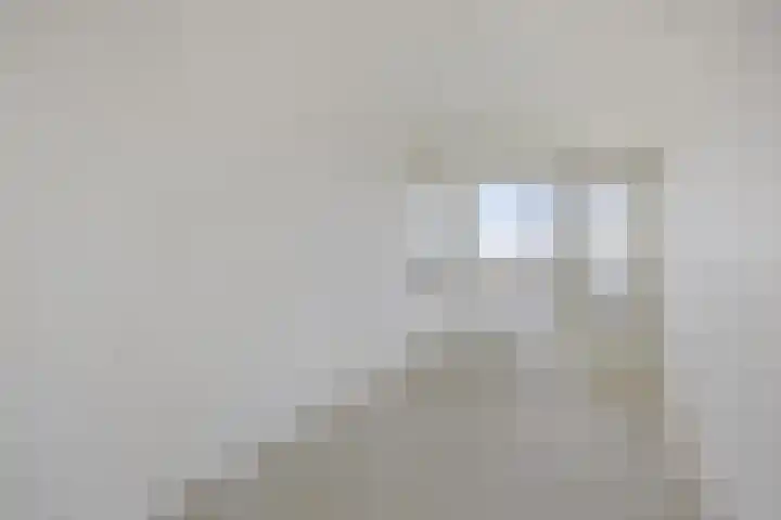 Brielselaan 12 C Rotterdam thumbnail 15