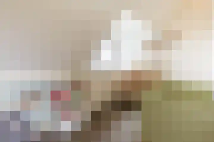 Brielselaan 12 C Rotterdam thumbnail 18