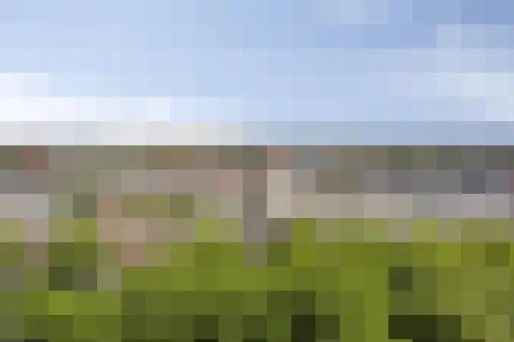 Brielselaan 12 C Rotterdam thumbnail 21