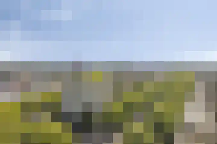 Brielselaan 12 C Rotterdam thumbnail 22