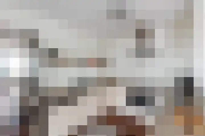 Brielselaan 14 F Rotterdam thumbnail 22