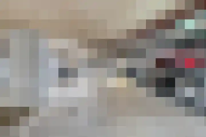 Brielselaan 14 F Rotterdam thumbnail 4