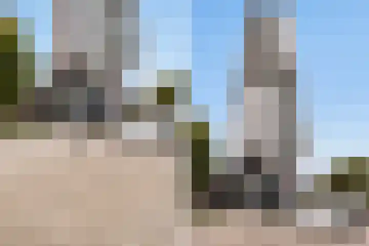 Brielselaan 14 F Rotterdam thumbnail 5