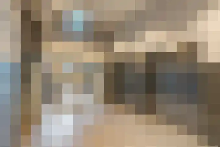 Brielselaan 14 F Rotterdam thumbnail 8