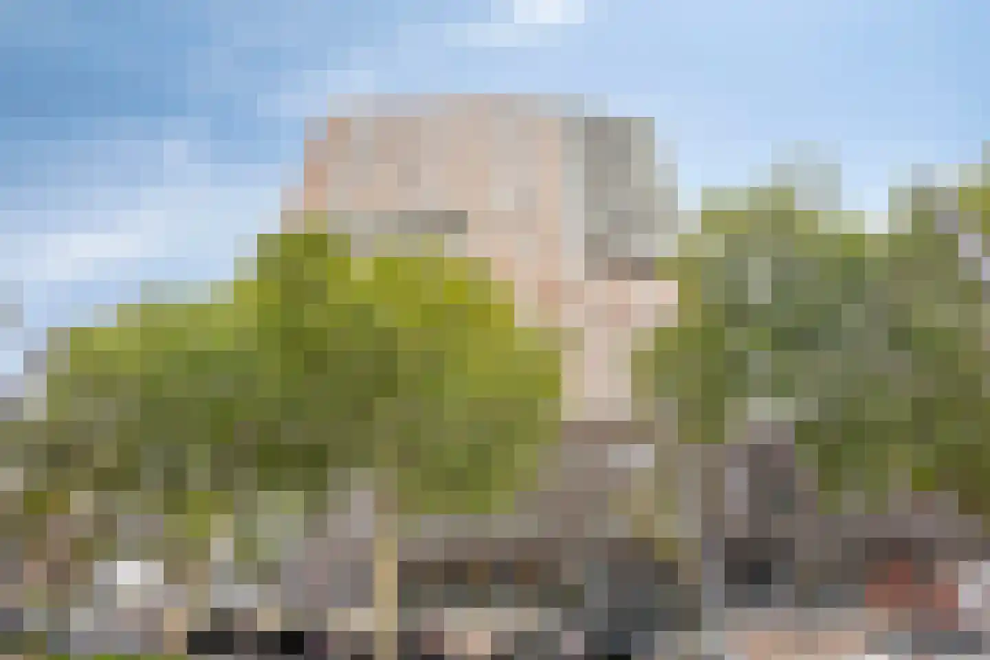 Brielselaan 16 B Rotterdam thumbnail 31