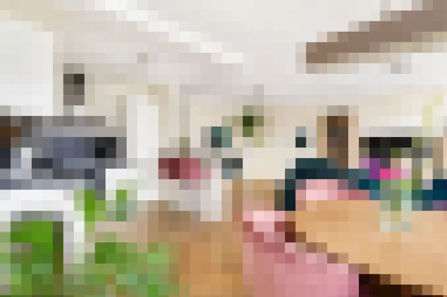 Brielselaan 18 A Rotterdam thumbnail 11