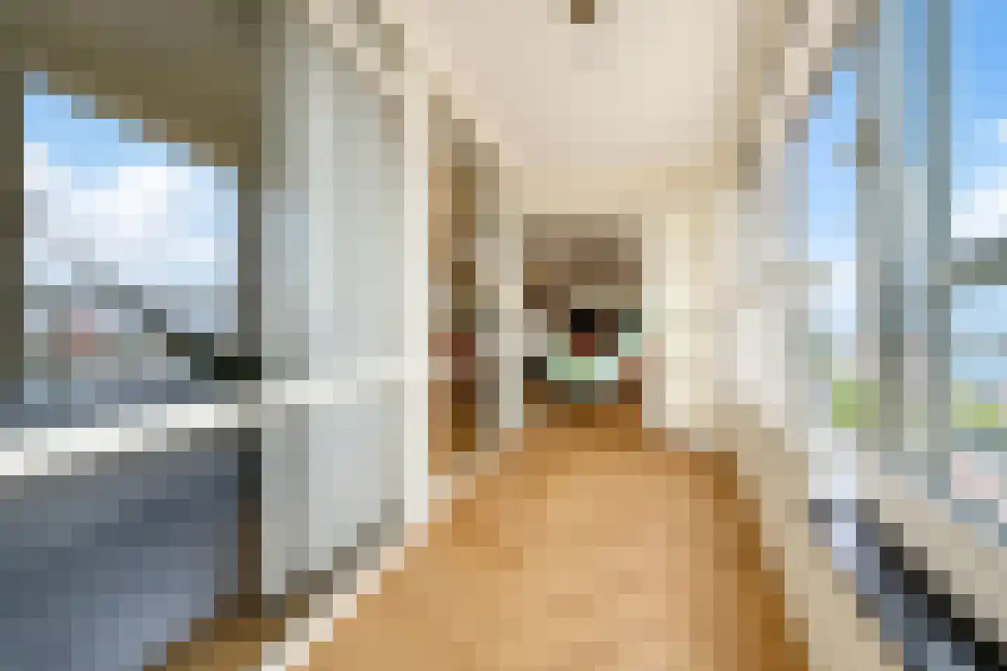 Brielselaan 18 A Rotterdam thumbnail 13