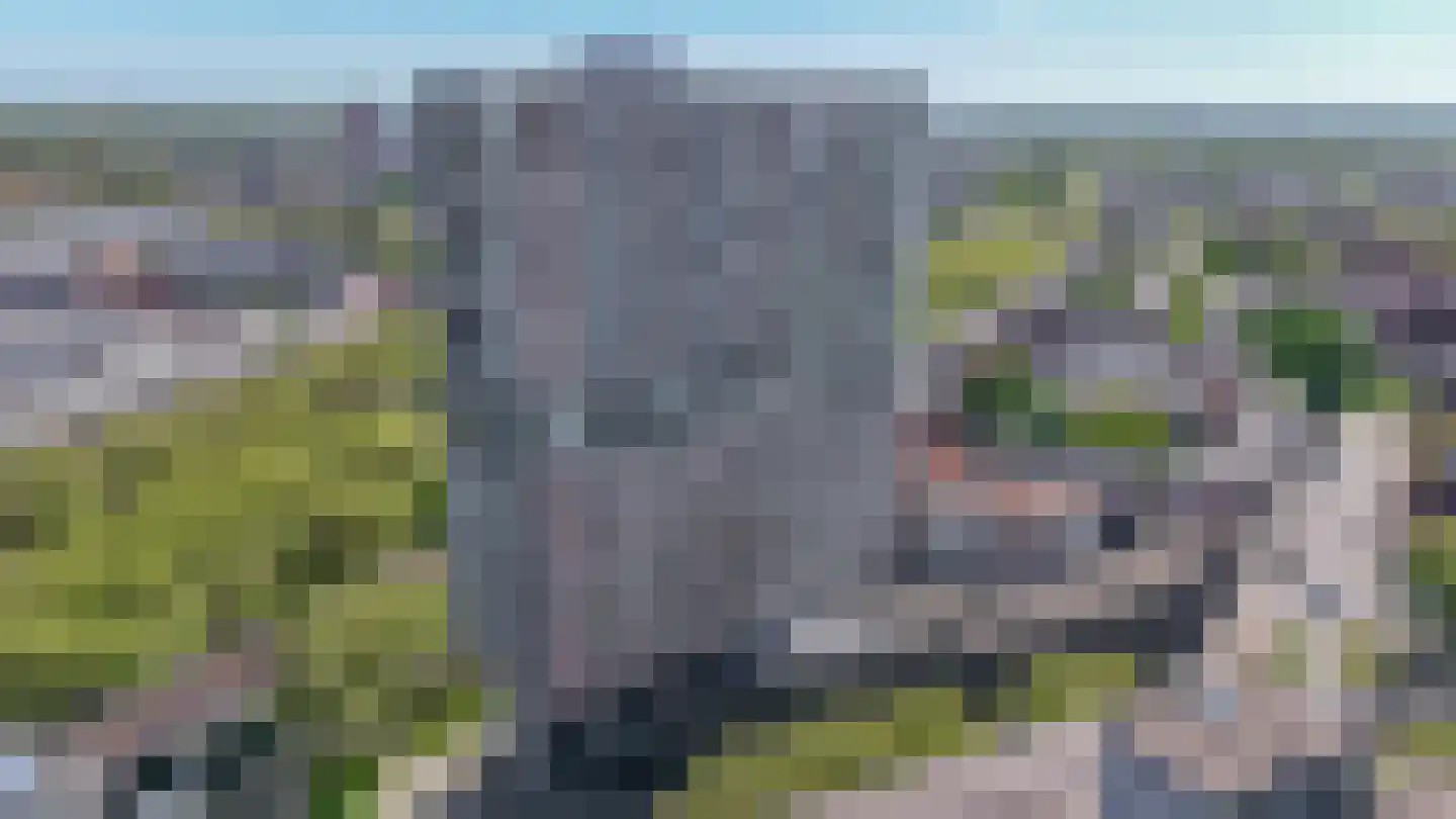 Brielselaan 20 A Rotterdam thumbnail 24