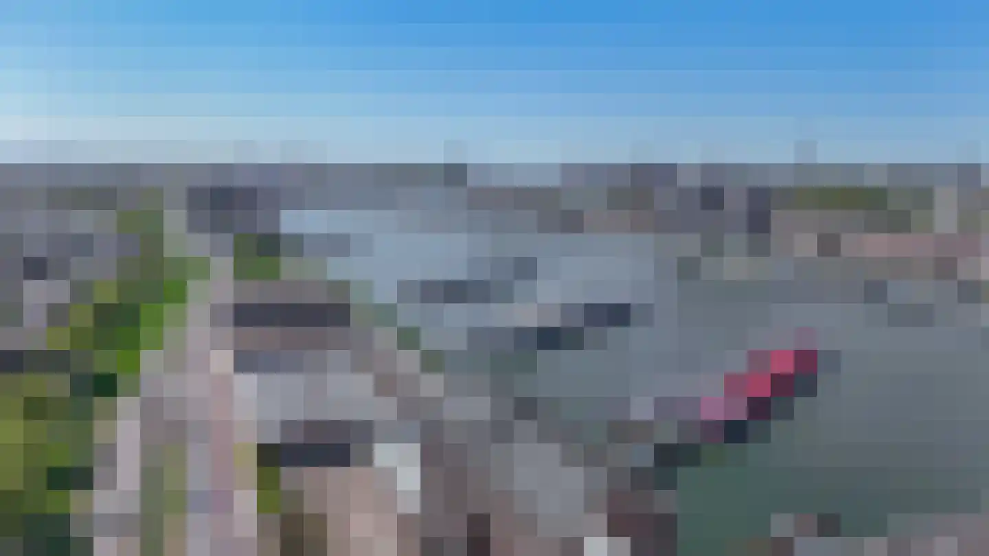 Brielselaan 20 A Rotterdam thumbnail 6