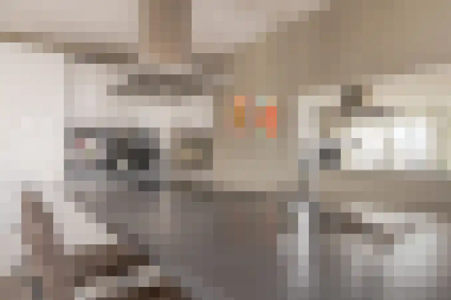 Brielselaan 20 F Rotterdam thumbnail 16