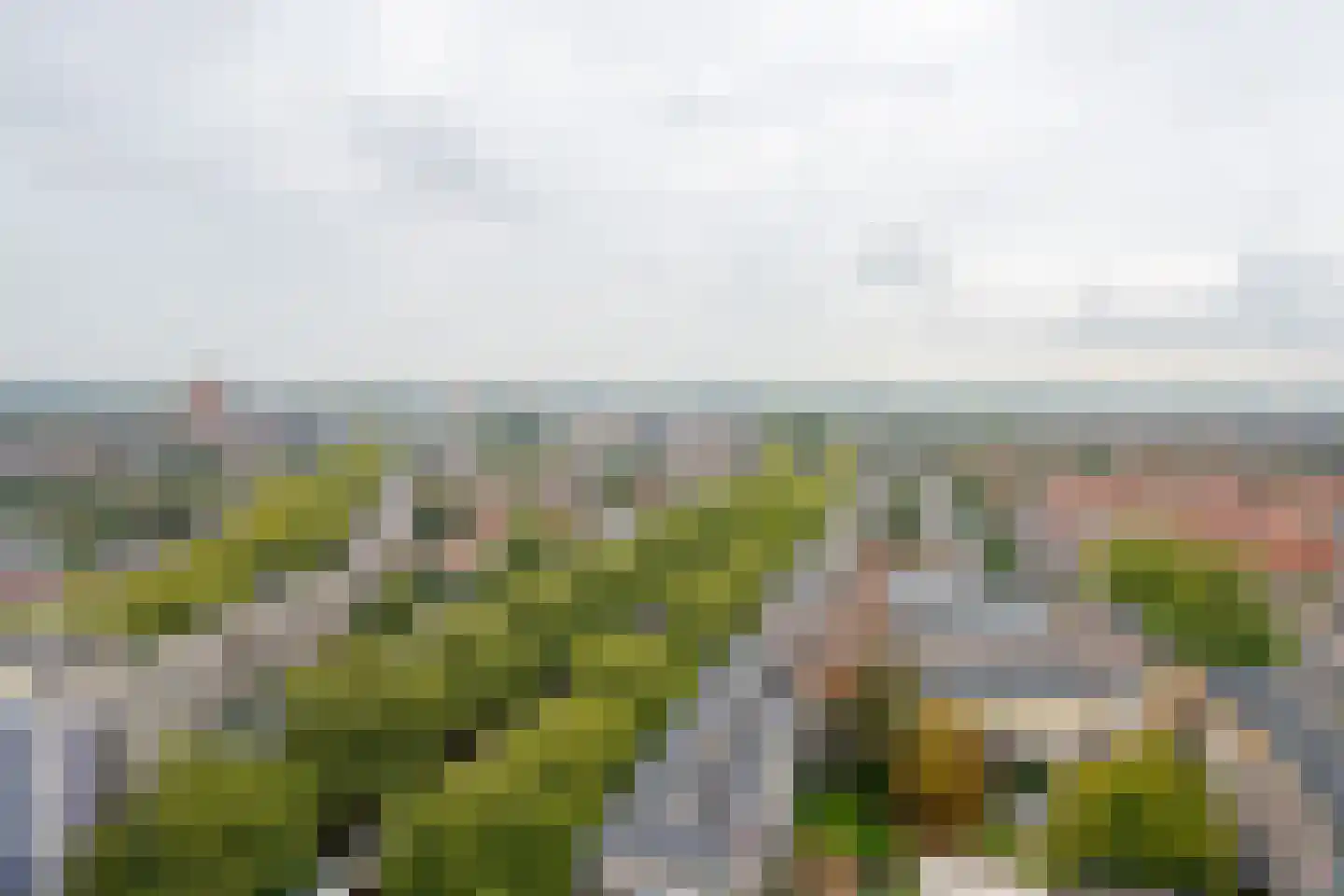 Brielselaan 20 F Rotterdam thumbnail 23