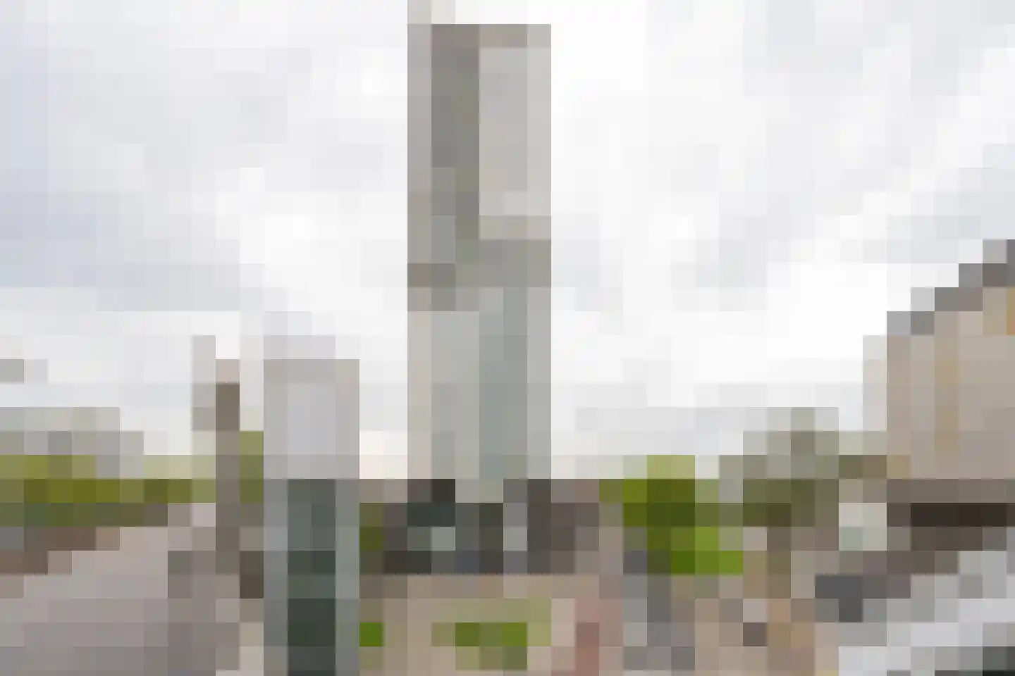 Brielselaan 20 F Rotterdam thumbnail 38