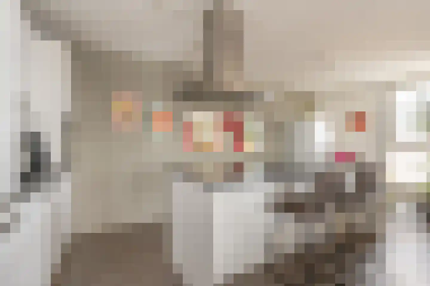 Brielselaan 20 F Rotterdam thumbnail 5