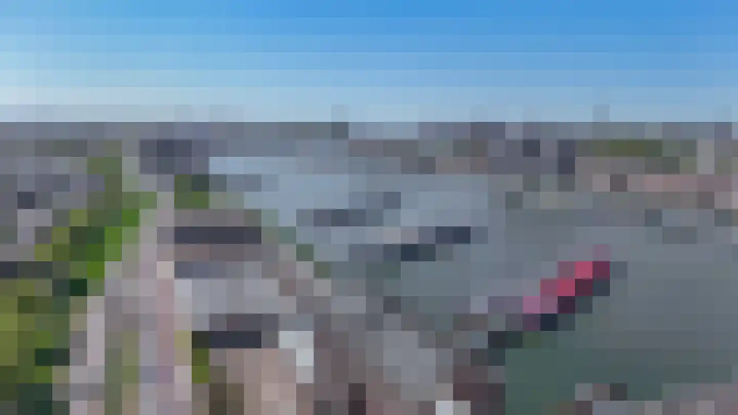 Brielselaan 22 A Rotterdam thumbnail 36