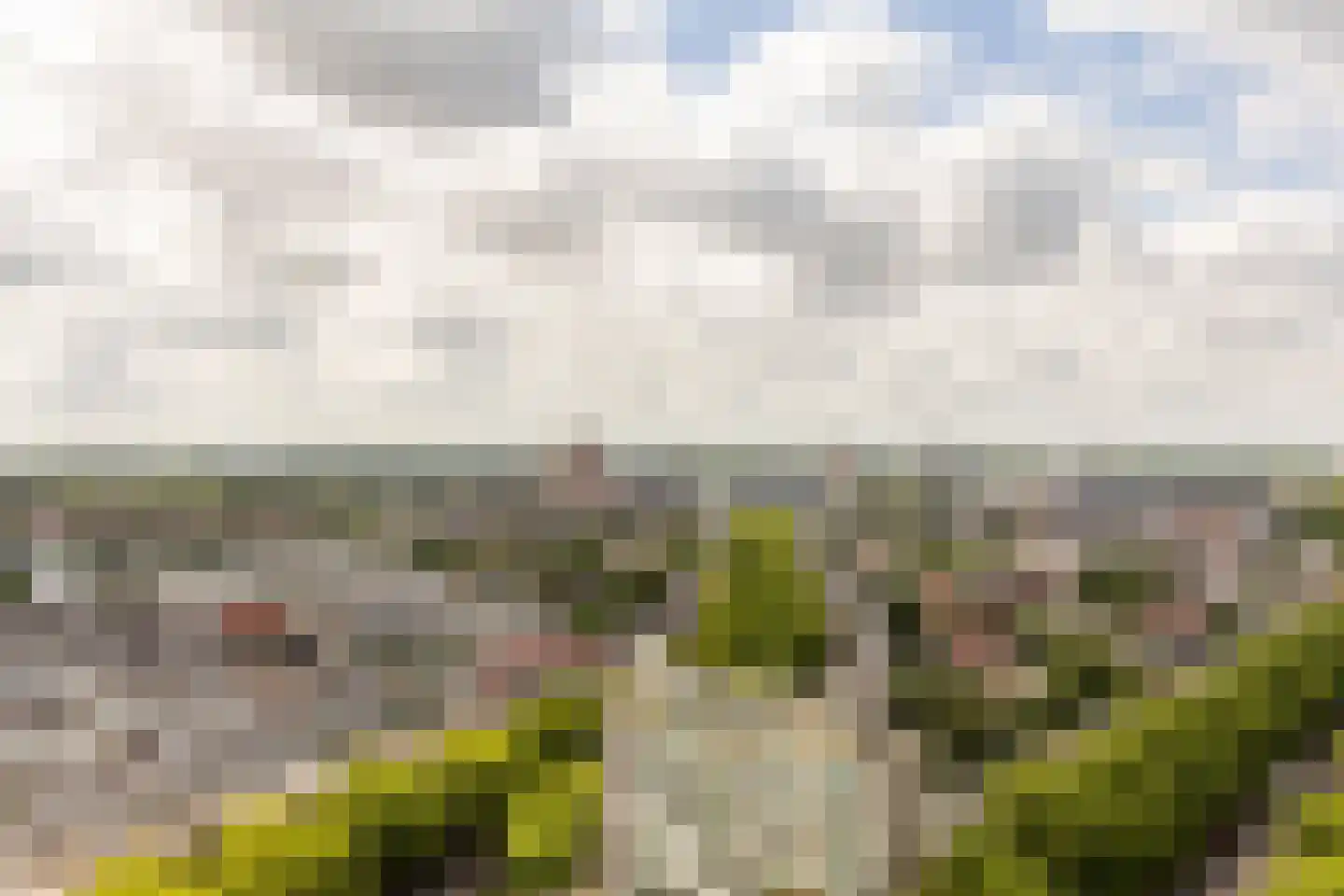 Brielselaan 22 B Rotterdam thumbnail 18