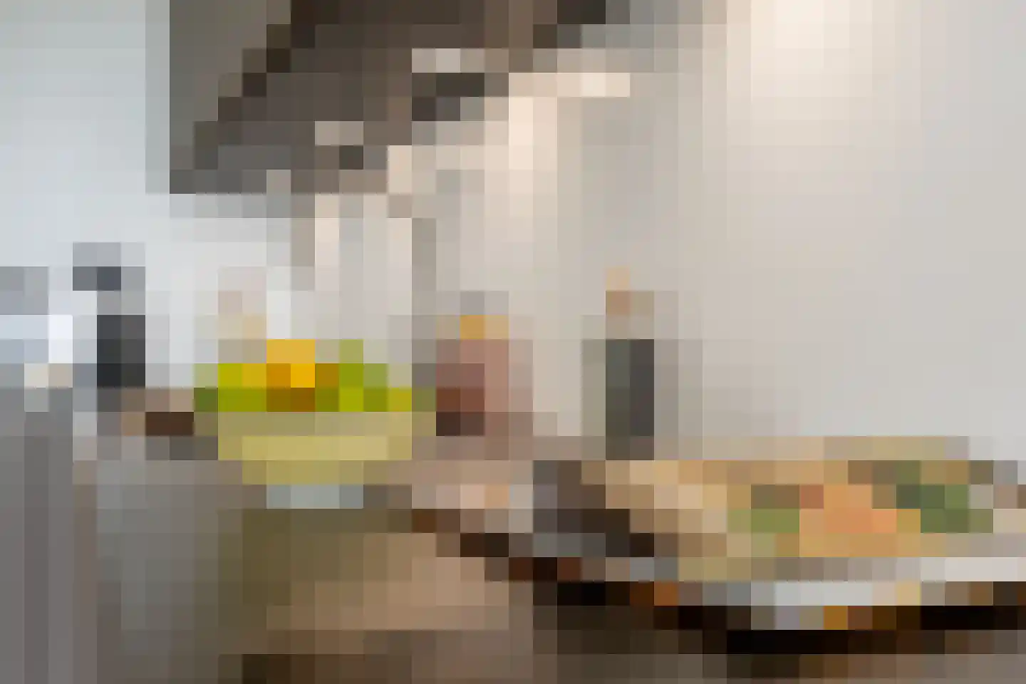 Brielselaan 22 B Rotterdam thumbnail 26