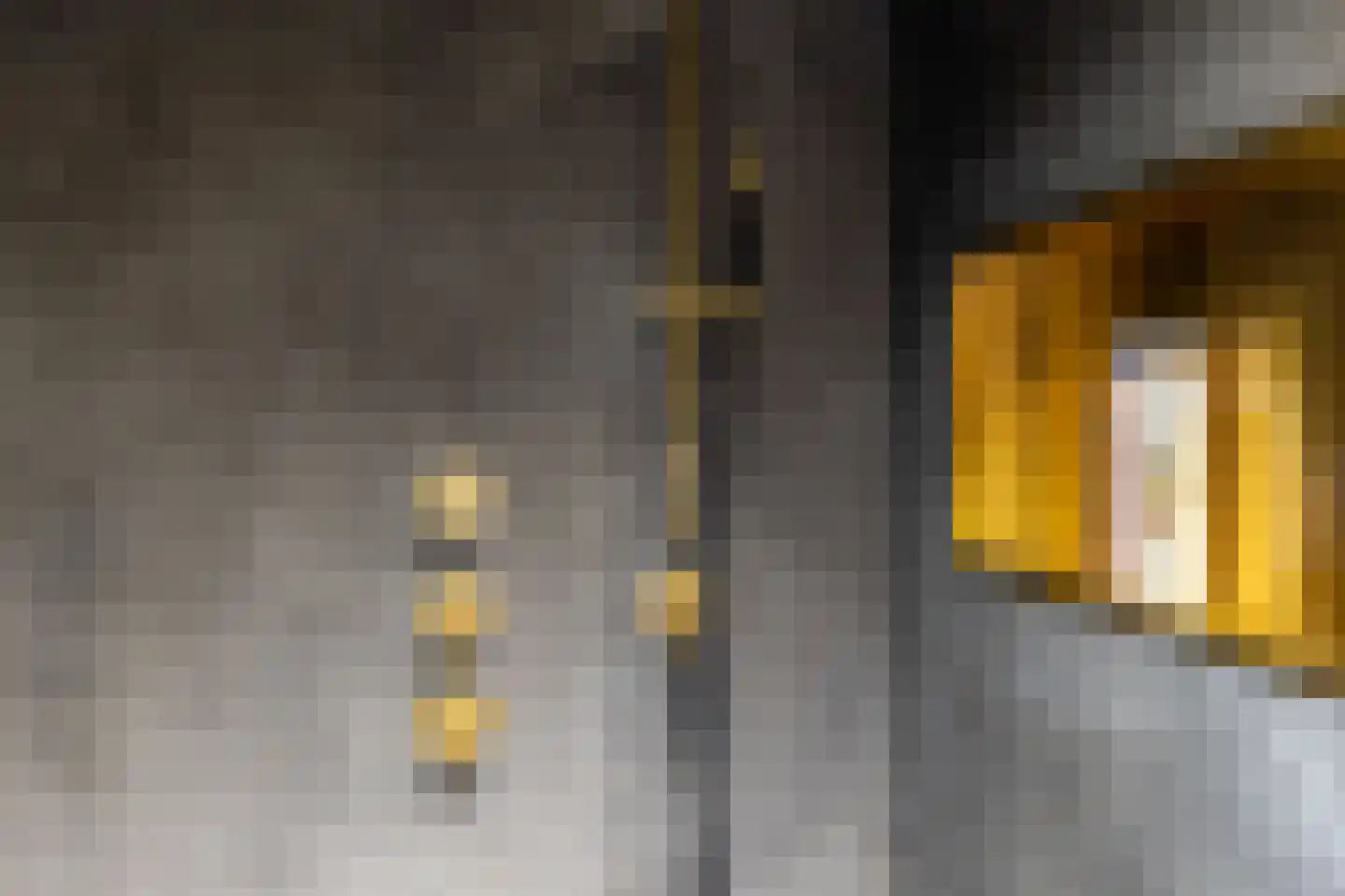 Brielselaan 22 B Rotterdam thumbnail 37