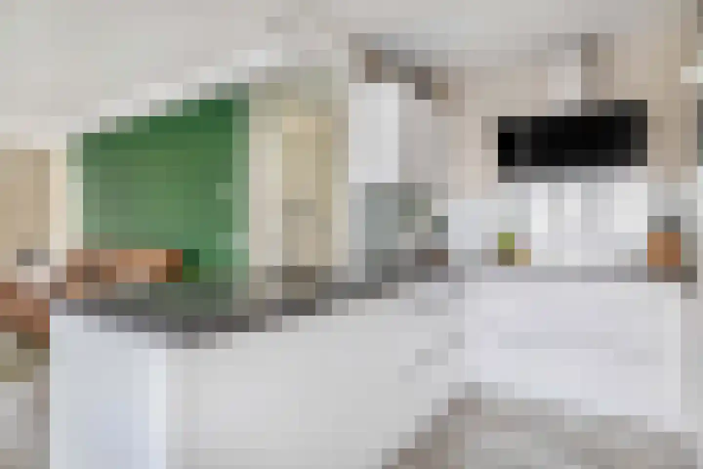 Brielselaan 28 A Rotterdam thumbnail 22