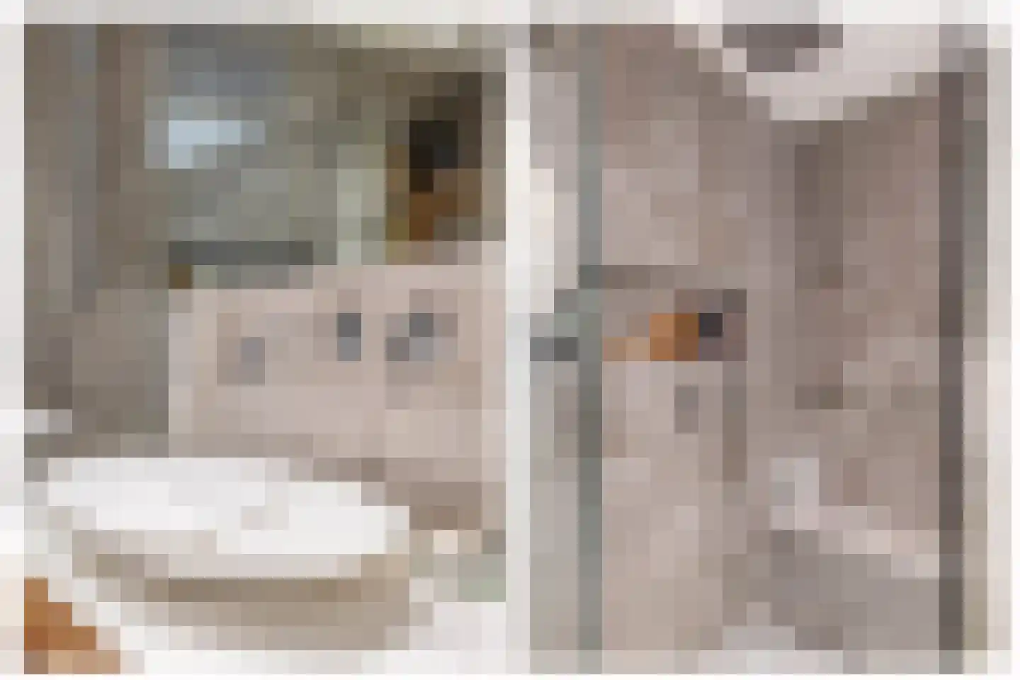 Brielselaan 28 A Rotterdam thumbnail 28