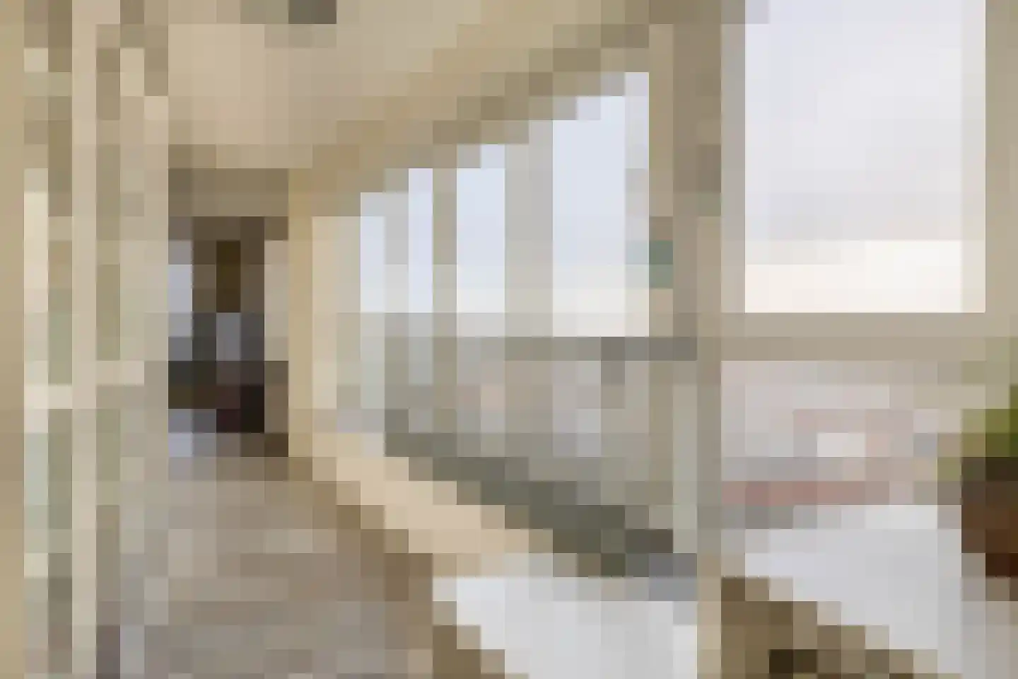 Brielselaan 28 B Rotterdam thumbnail 30