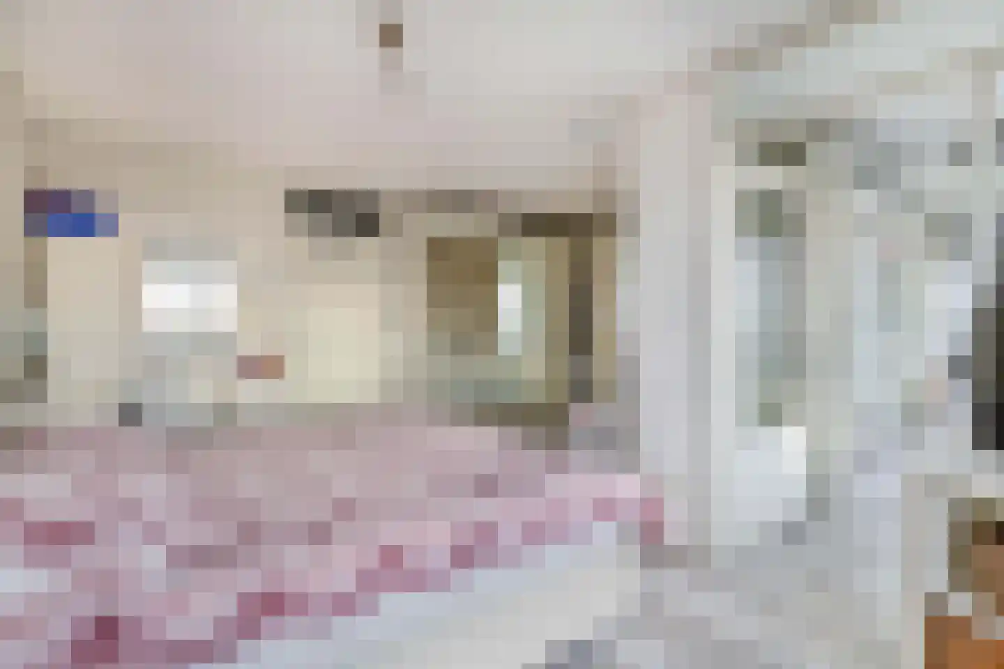 Brielselaan 28 H Rotterdam thumbnail 24