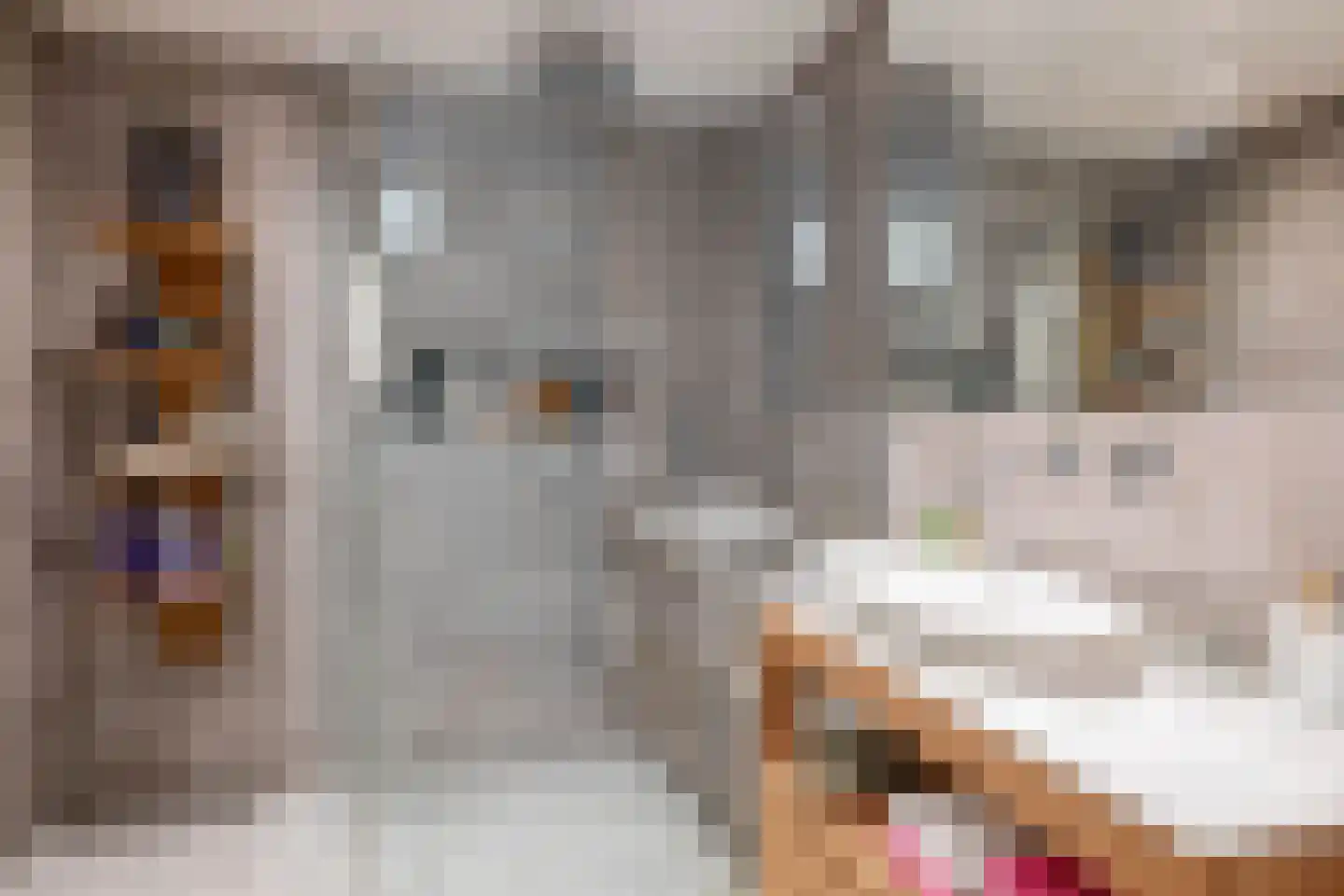 Brielselaan 28 H Rotterdam thumbnail 27