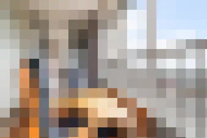 Brielselaan 30 F Rotterdam thumbnail 33