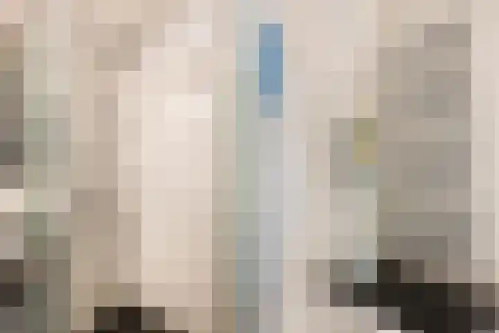 Brielselaan 30 F Rotterdam thumbnail 43