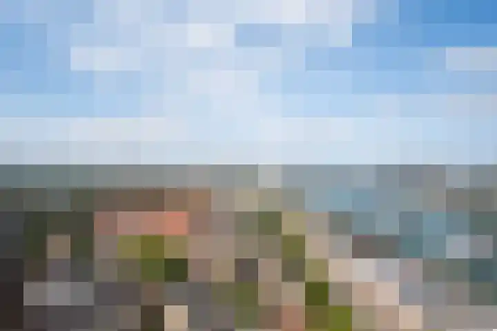 Brielselaan 30 F Rotterdam thumbnail 47