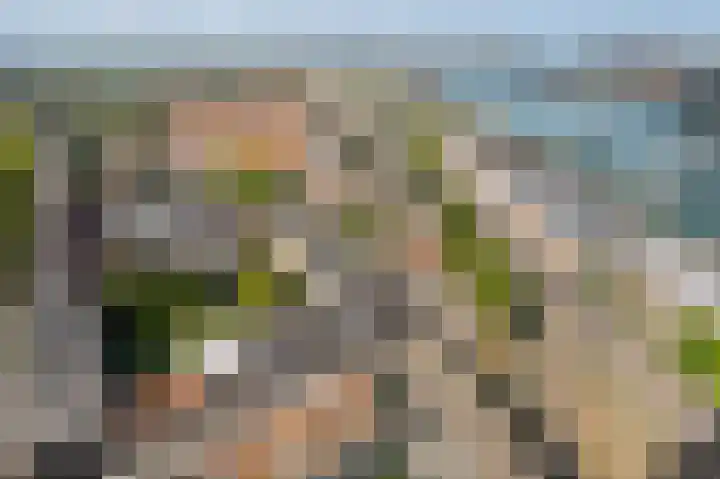 Brielselaan 30 F Rotterdam thumbnail 48
