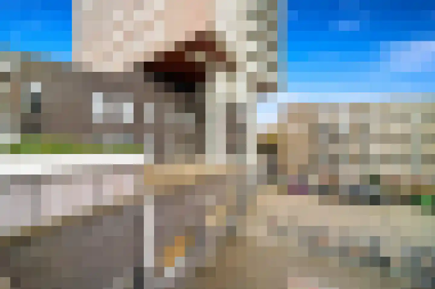 Brielselaan 40 A Rotterdam thumbnail 17