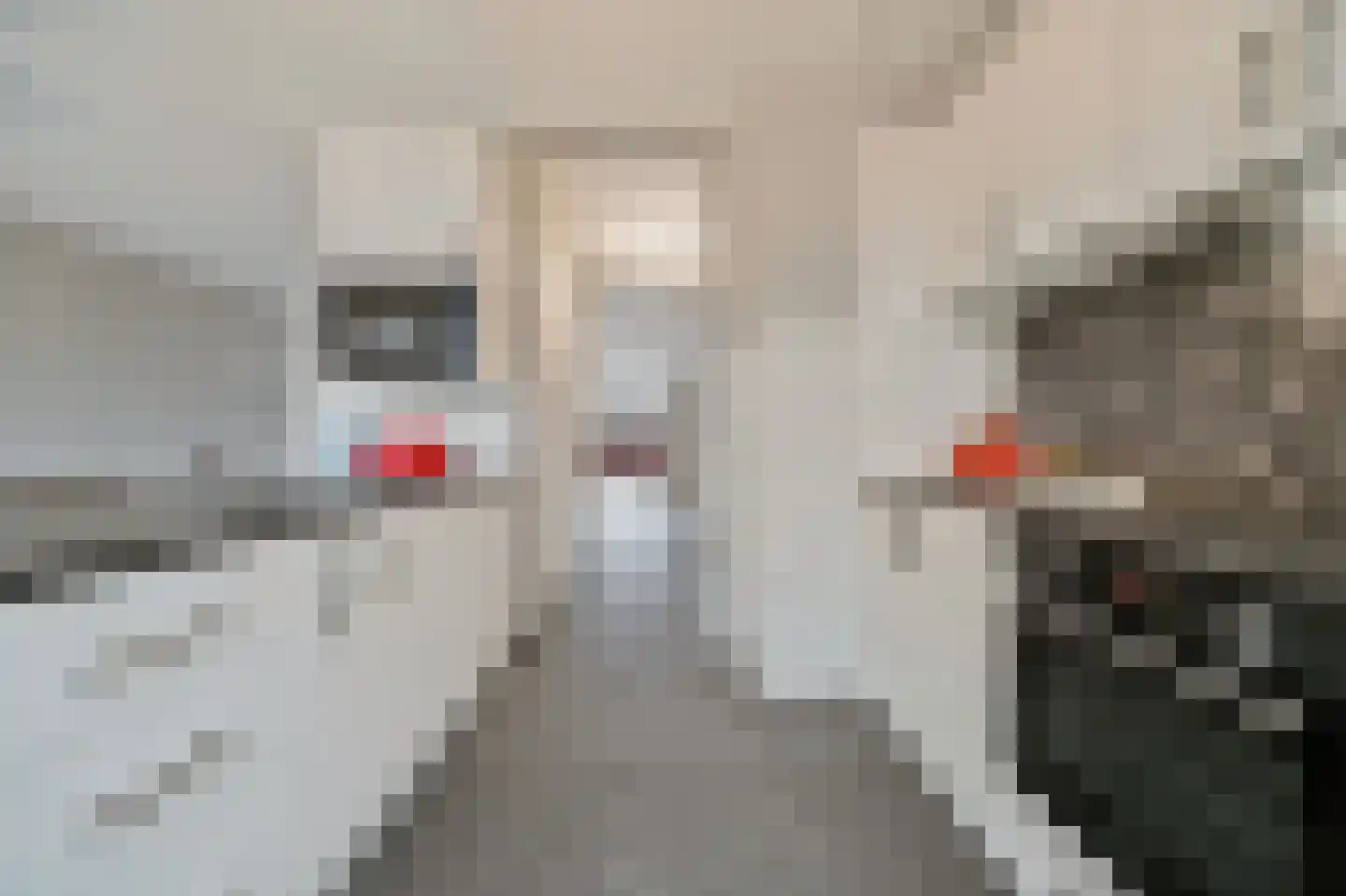 Brielselaan 40 A Rotterdam thumbnail 20