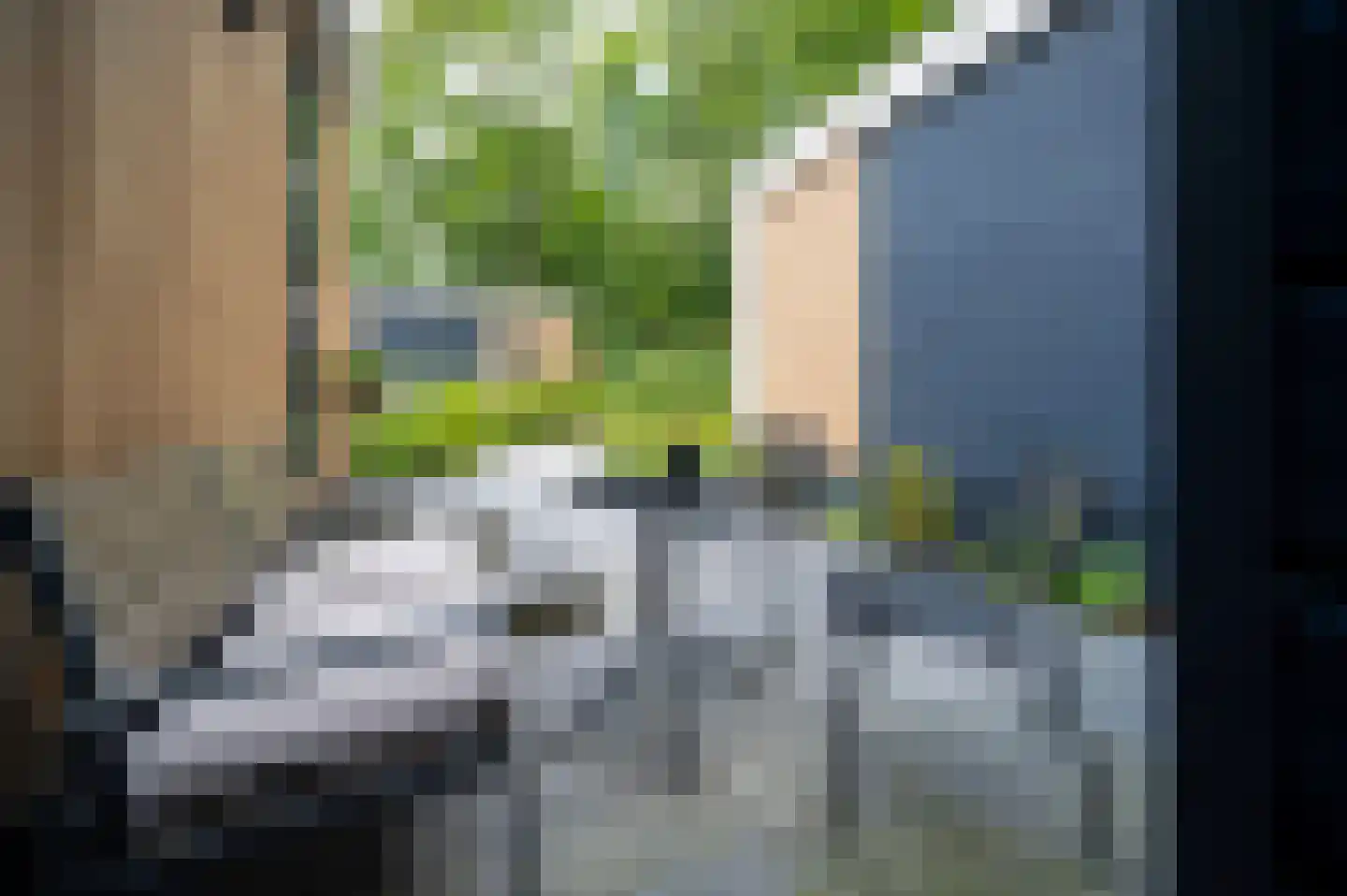 Brielselaan 40 A Rotterdam thumbnail 21