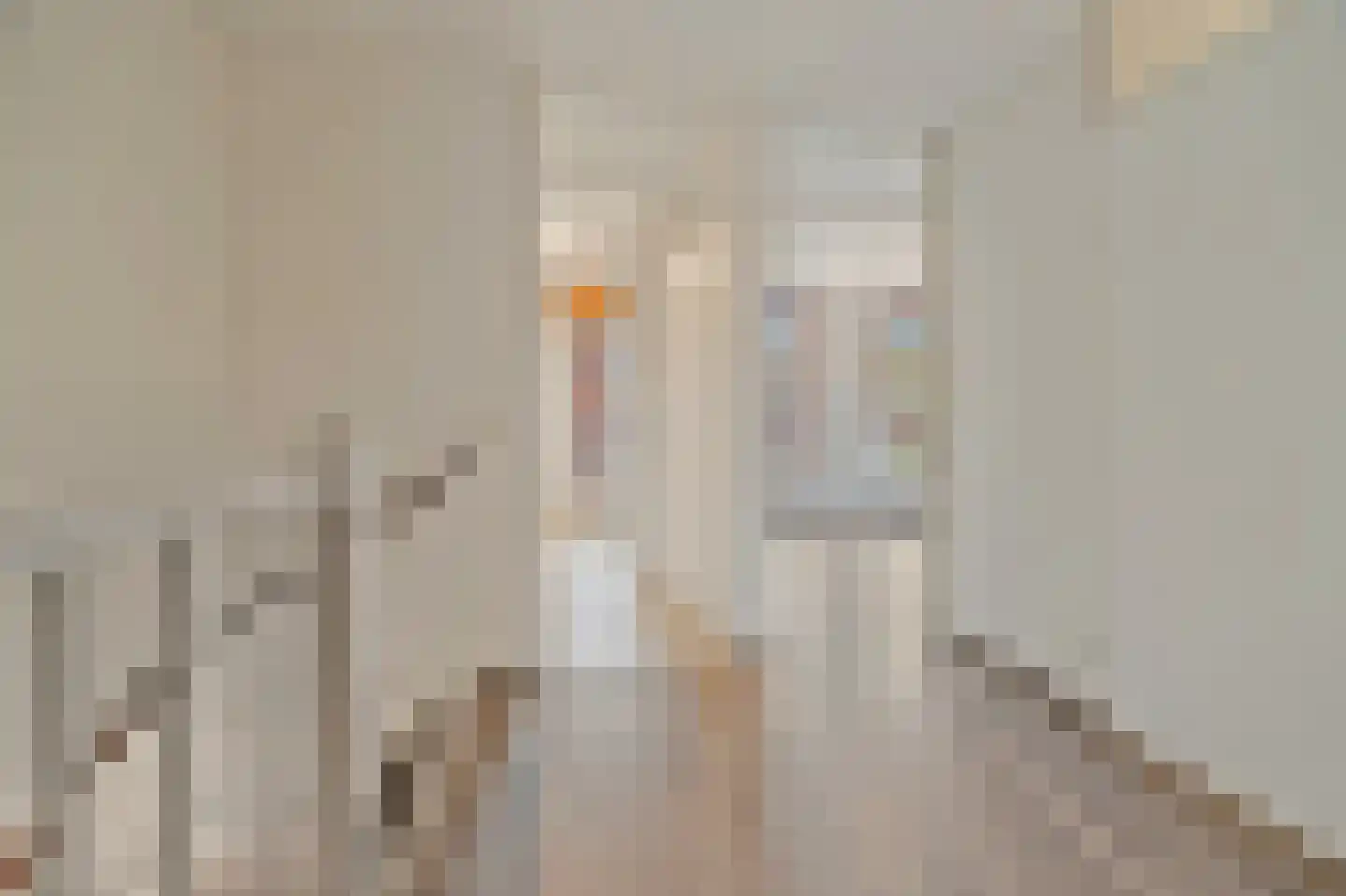 Brielselaan 40 A Rotterdam thumbnail 24