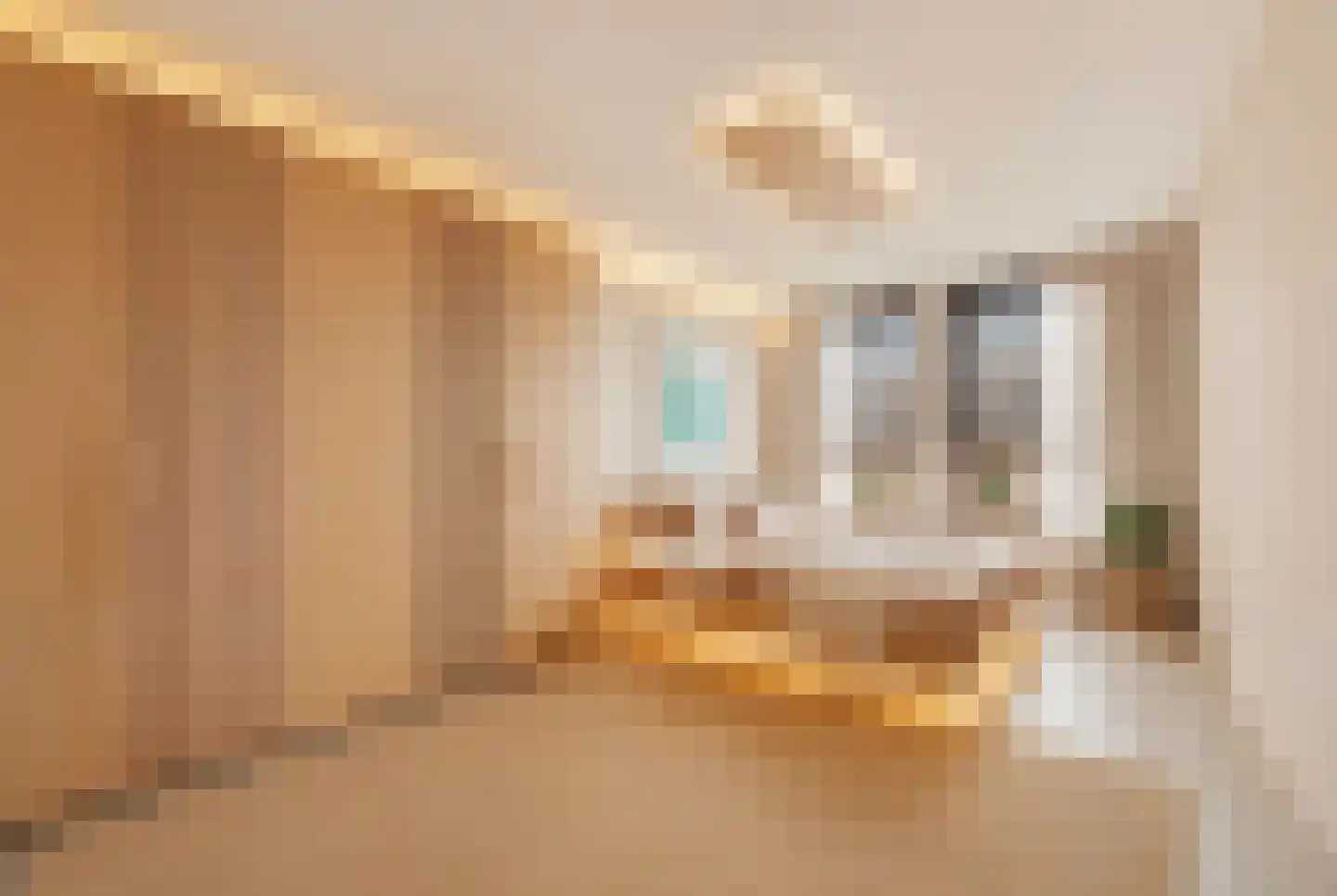 Brielselaan 40 A Rotterdam thumbnail 4