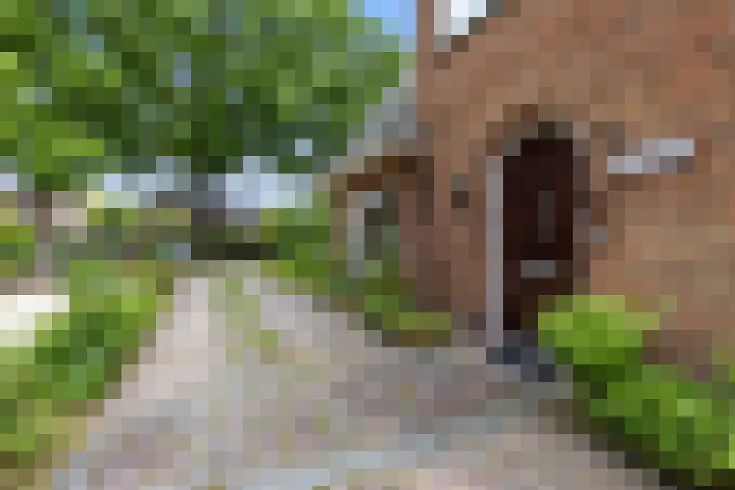 Brielselaan 40 A Rotterdam thumbnail 7