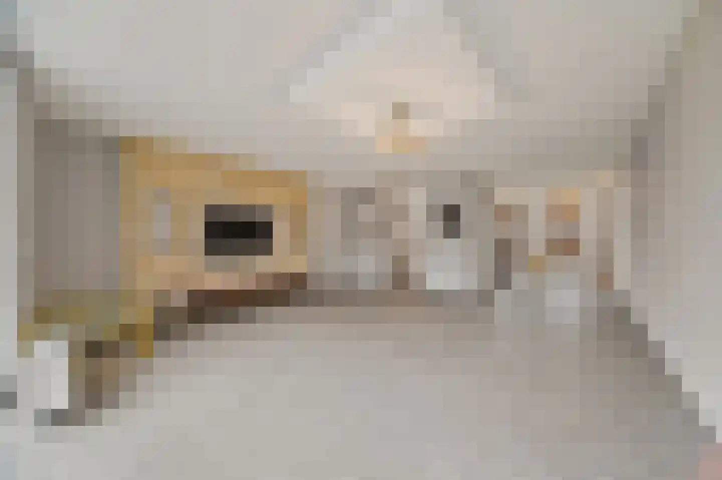 Brielselaan 40 B Rotterdam thumbnail 18